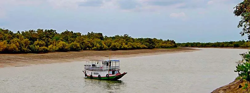 Sundarban Tour for 1 Night 2 Days with Tourist Hub India