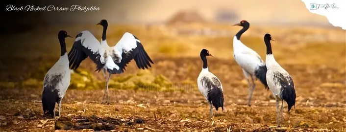 bhutan trip packages from Bangalore with Explore Touristhub Holidays LLP