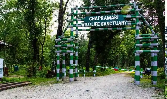 chapramari wild life sancturaryt tour with Tourist Hub India