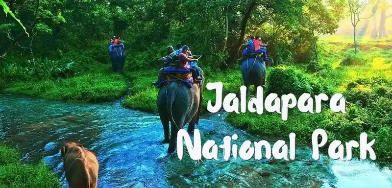 Dooars jaldapar national park tour package from Kolkata with Tourist Hub India