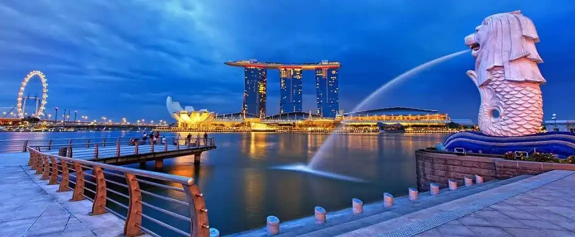 Singapore tour from India