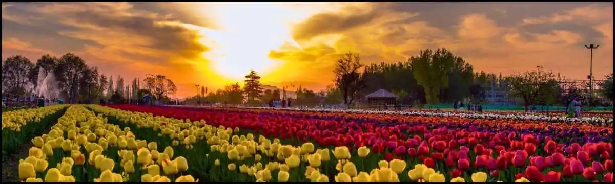 Kashmir package from Srinagar with Touristhub Holidays