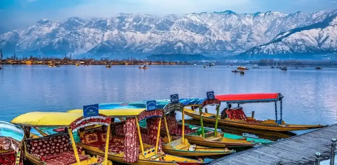Srinagar shikara ride on Dal Lake