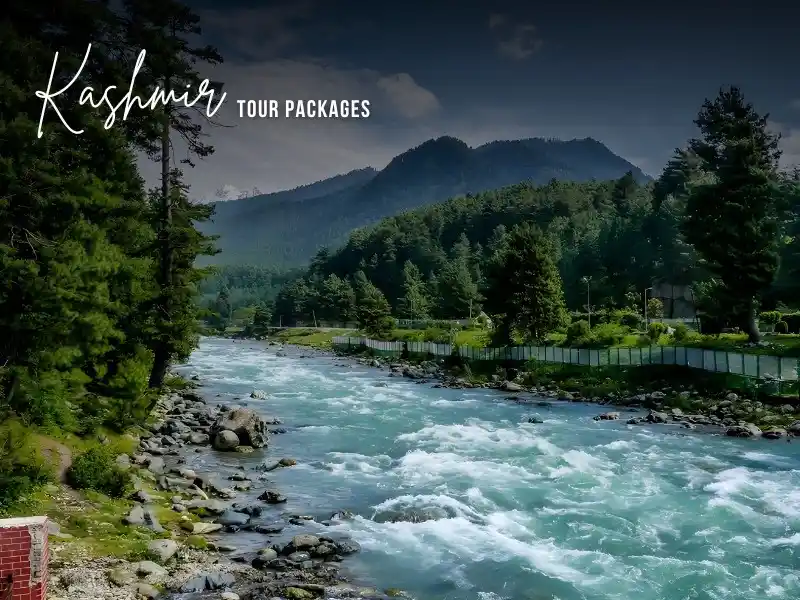 Kashmir 4 nights 5 days