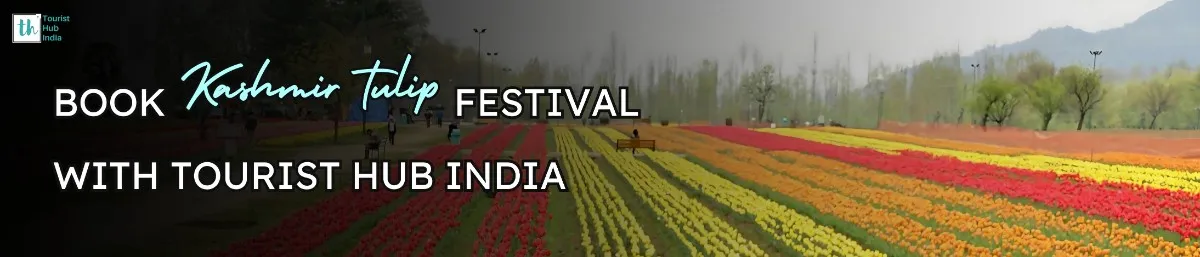 KASHMIR TULIP FESTIVAL 2025 PACKAGES