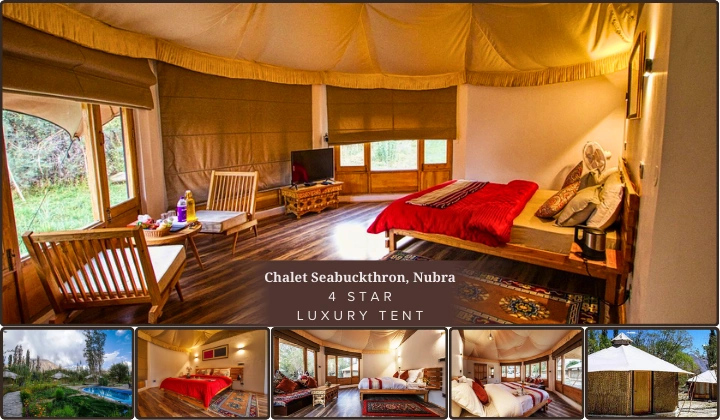 Leh Ladakh luxury resort