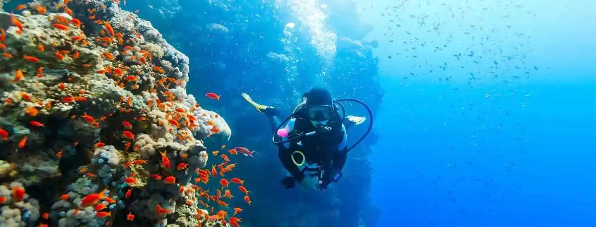 lakshadweep scuba diving liveaboard offer by tourist hub india