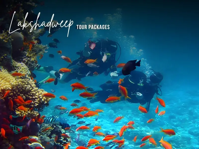 Mumbai to Lakshadweep cruise package