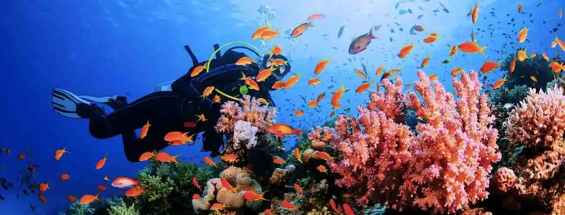 best Scuba diving in lakshadweep with Tourist Hub India