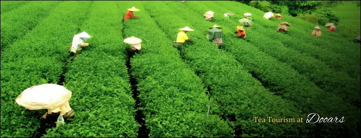 Visit Darjeeling offbeat with Tourist Hub India