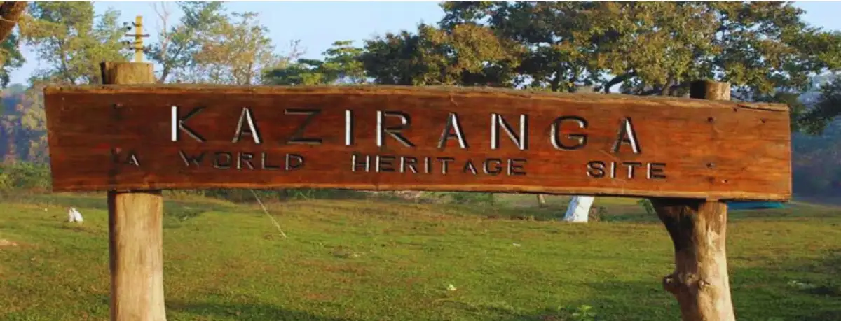 Kaziranga elephant safari with Meghalaya tour