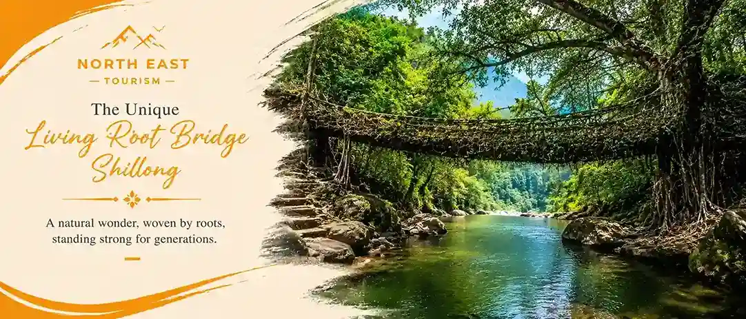 Double Decker Living Root Bridge at Nongriat on the Meghalaya tour with Touristhub Holidays
