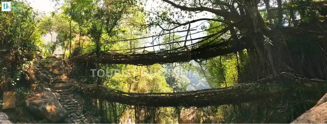 Visit north east from Mumbai with living root bridge