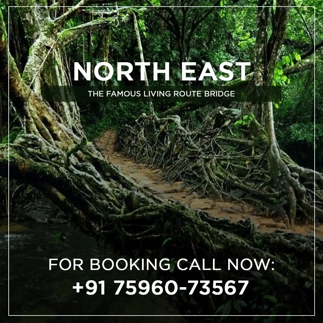 north east package from Keral with Touristhub