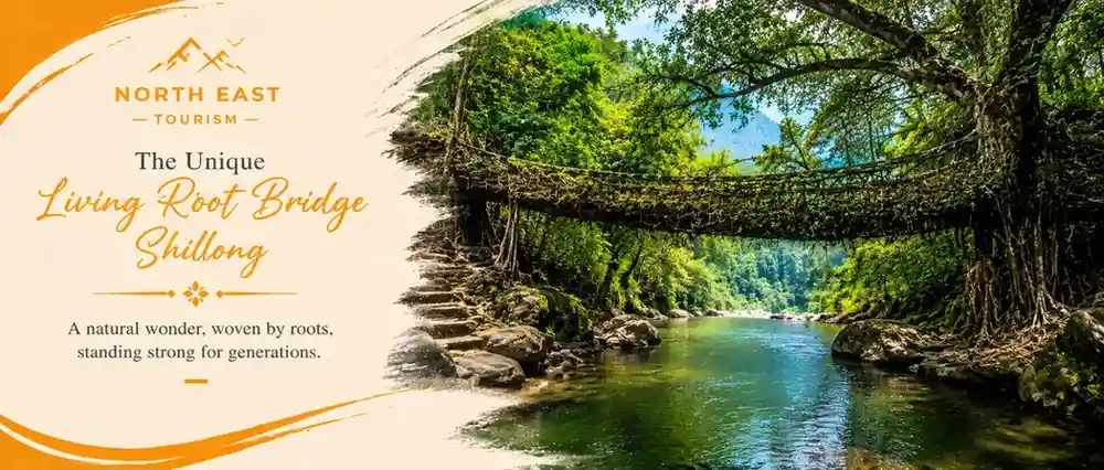 North East tours from Guwahati with Touristhub Holidays
