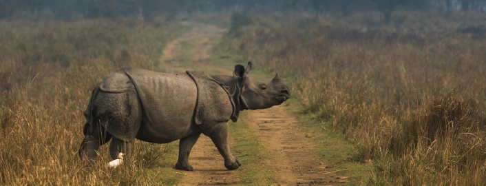 Assam Meghalaya Arunachal Pradesh tour with Touristhub Holidays