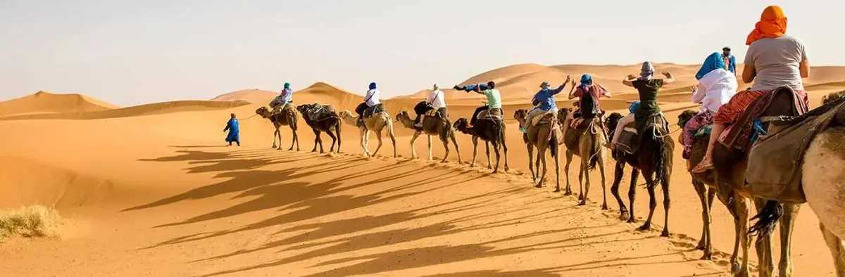 Rajasthan camel safari tour