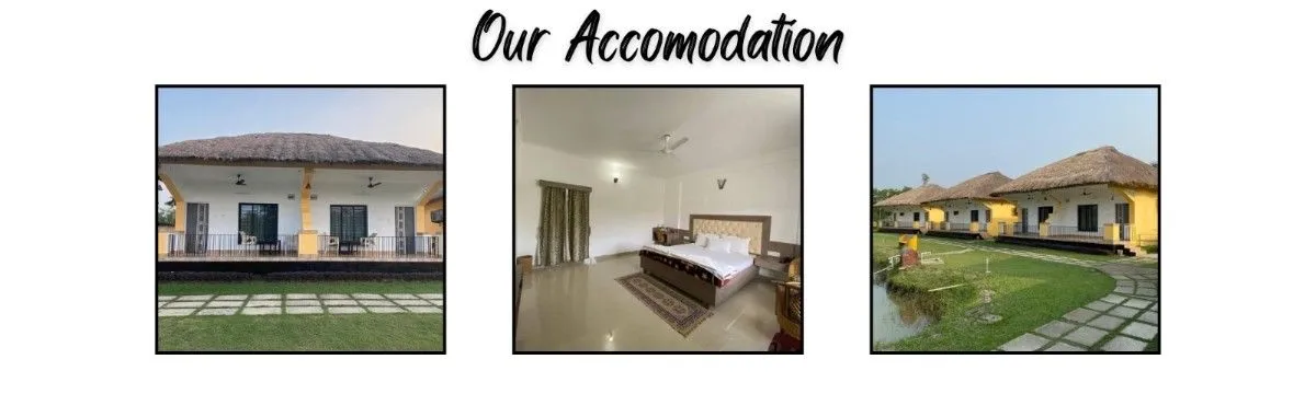 sundarban 1 night 2 days resorts with Touristhub Holidays