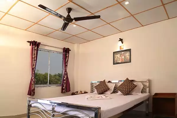 Sundarban photography tour with standard hotel room from Tourist Hub India