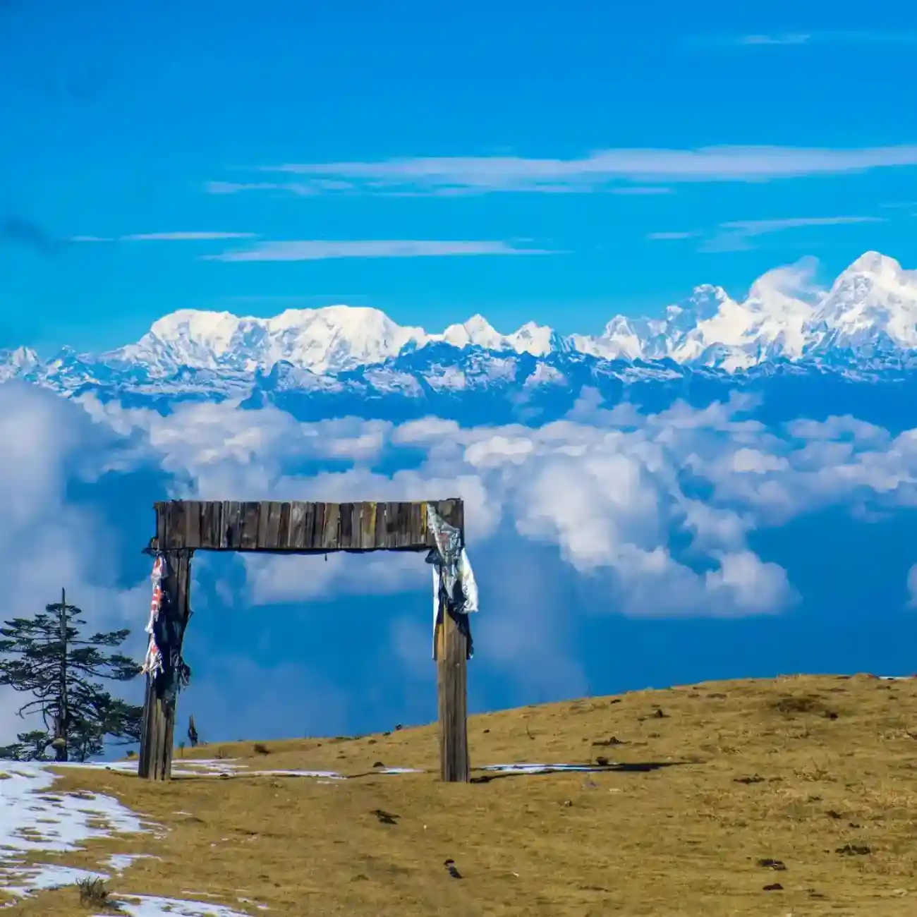 Sandakphu package tour from Kolkata with Touristhub holidays