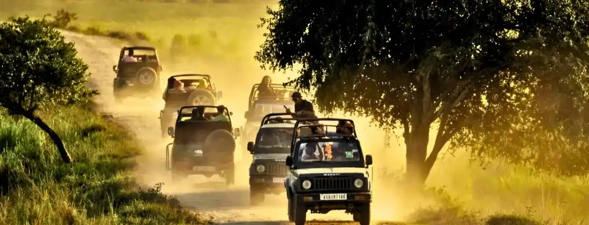 Kaziranga jeep safari tour with Meghalaya