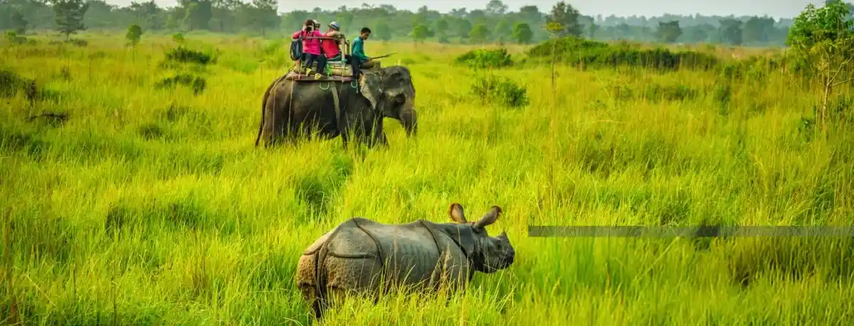 Kaziranga Meghalaya tour plan with touristhub