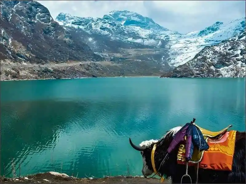 Sikkim-Gangtok-Tour