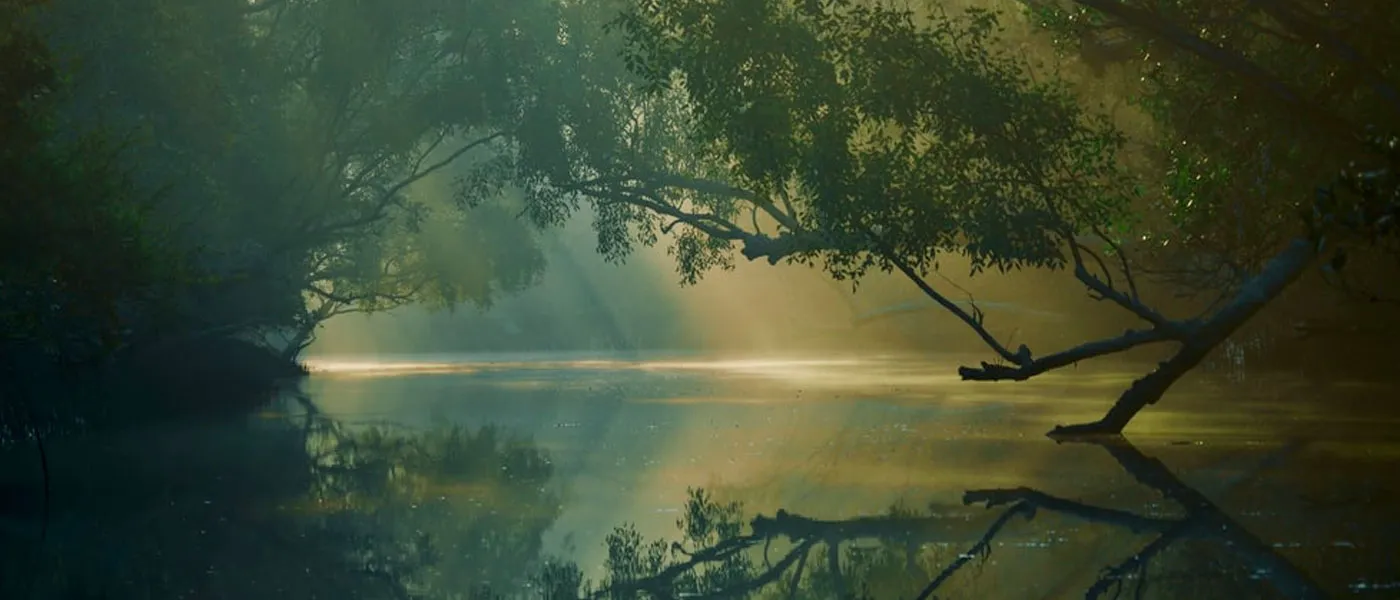 sundarban from Durgapur with Touristhub Holidays
