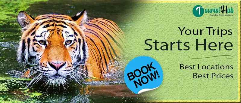 sundarban package Mumbai