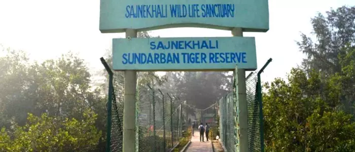 Visit Sundarban sajnekhali tiger reserve with Tourist Hub India