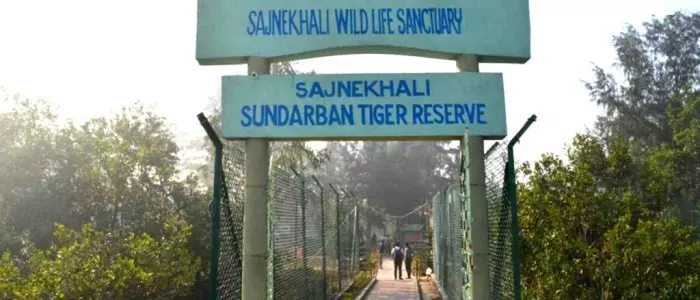 sundarban national park tour from kolkata with Tourist Hub India