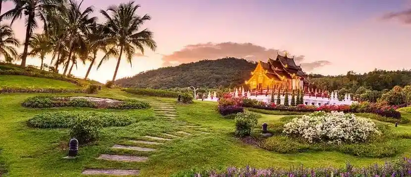 Phuket Krabi trip with phi phi island with Touristhub Holidays